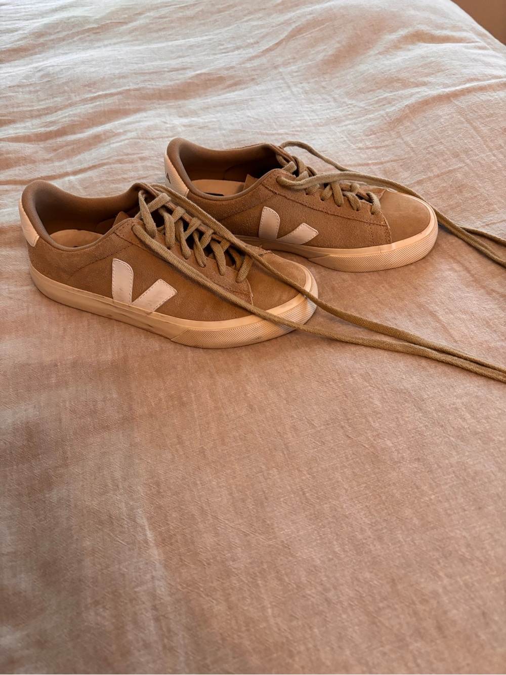 Veja Suede Sneakers in Brown with White V